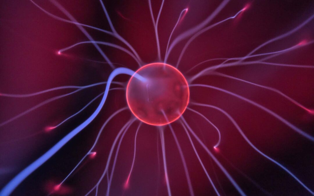 The Nervous System: Your Body’s Master Communication Network