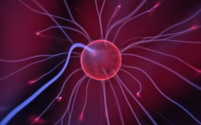The Nervous System: Your Body’s Master Communication Network