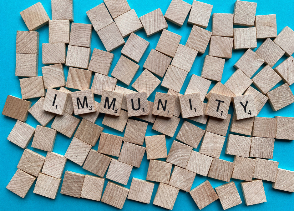 Strengthening Your Immune System Naturally: Building Resilience from the Inside Out
